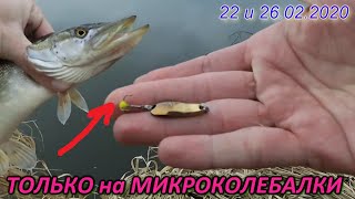 На какие приманки ловить щуку и окуня в июле 2020