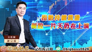 【大戶羅盤籌碼動能】 #謝宗霖 20220801 指數持續震盪 個股一片天仍在上演 (圖)