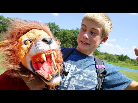 WILDsides: How to Fight Off Attacking Animals