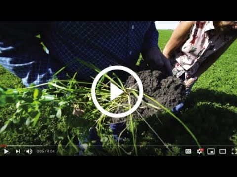 MFGA Regenerative Agriculture Video