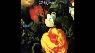 Morphine   Do Not Go Quietly Unto Your Grave