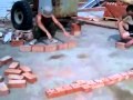 Суровые строители играют в домино кирпичями/Severe builders play the domino ...