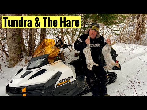 Tundra & The Hare (Newfoundland Rabbit Snaring Success) Gathering Food in Canada's Frozen North