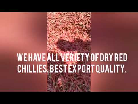 Dry Chilli 2043 Sygenta Byadegi, 10 Kg
