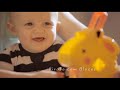 Fisher-Price Girafa Divertida com Blocos B4253 - Noy Brinquedos