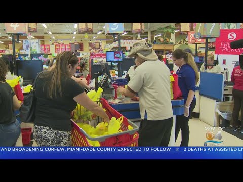 Sedano quer contratar 400 trabalhadores