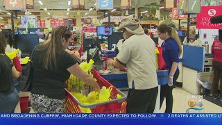 Sedano's Looking To Hire 400 Workers