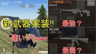新武器実装!!最強と最弱荒野行動
