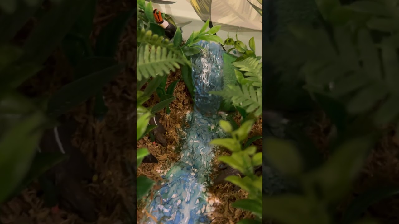 rainforest biome project #biome #schoolproject #rainforest #2023