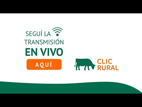 17/02/23 - 3er Remate Anual de Cabaña Ovina El Luchador - Herrera, Entre Ríos - Francisco Carbajal