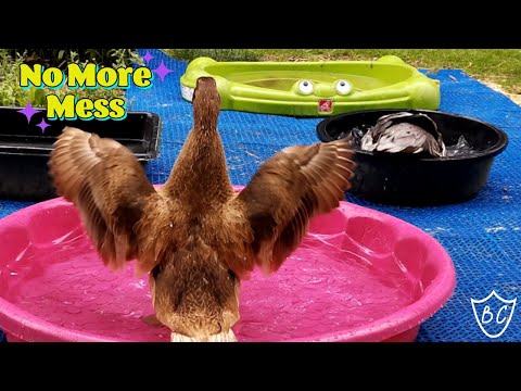 Messy Ducks? Stop Drilling Solution - No More Mud Around Water Bowls Or Pools