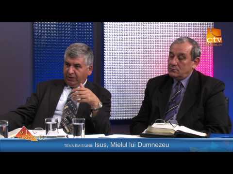 253. Relu Moldovan si Vasile Tamas - Isus, Mielul lui Dumnezeu