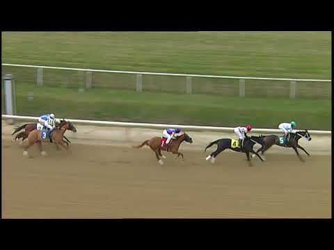 LAUREL PARK 1 5 2019 RACE 1