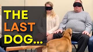 We Let Dogs Pick Their Families on Adoption Day And THIS Happened 😢