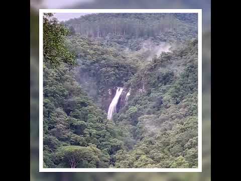 Mais um pouco de Doutor Pedrinho SC