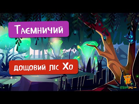 🍀 Дива природи. Явища навколо нас. Дощовий ліс Хо 🌏