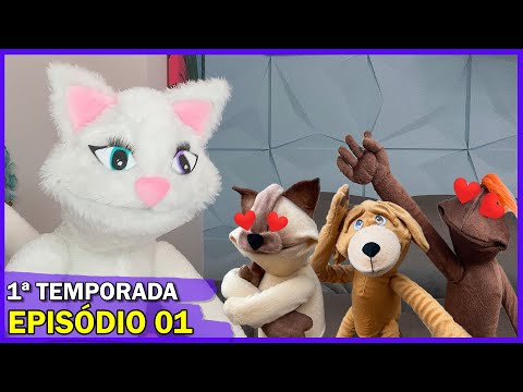 Belmiro Memes: Disputa pela gata Doroteia