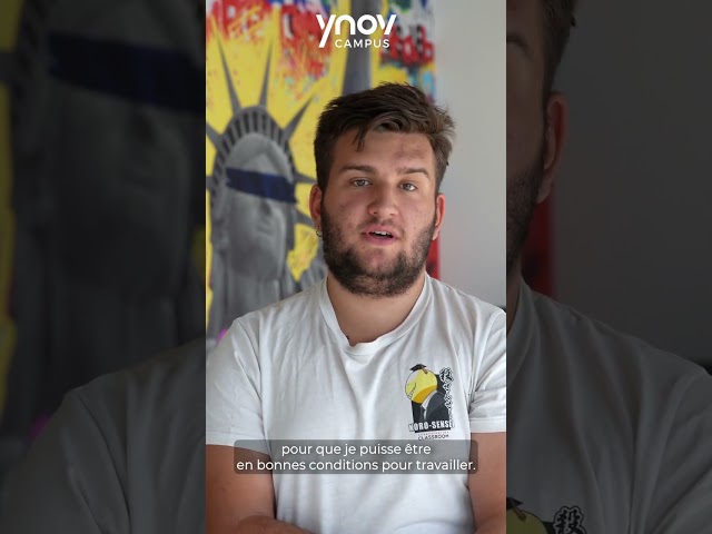 Interview YMMERSIONS, Bachelor informatique