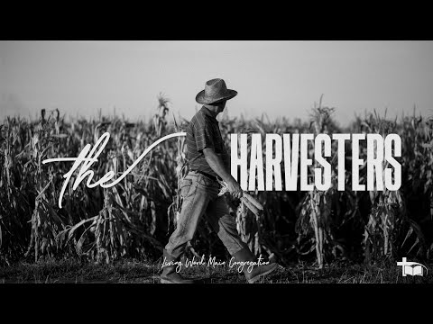 Danie Denysschen - The Harvesters(2025/02/16 11:15 Service)