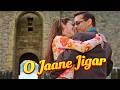 O Jaane Jigar 4K Salman Khan Ameesha Patel Kumar Sanu Alka Yagnik Romantic Hits