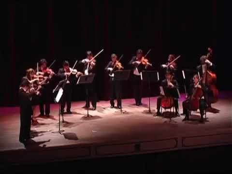 Al rojo vivo by Saul Cosentino performed by Esteban Raspo & camerata Cordoba Nueva