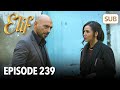 Elif Episode 239 | English Subtitle