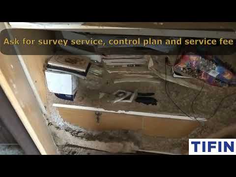 Tifin Termite Video 56