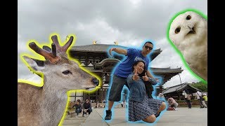 preview picture of video 'We took a day trip from Osaka to Nara!'