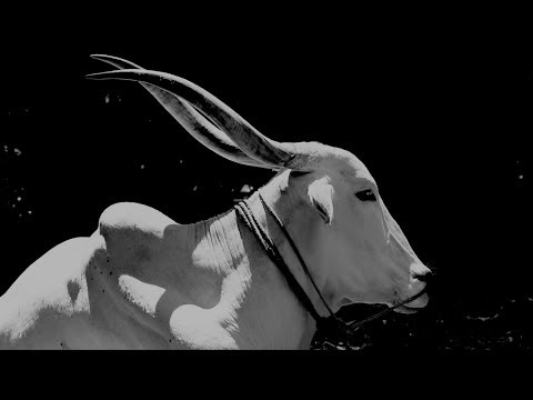 NEEDSHES - Pain (Official Video)