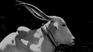 NEEDSHES - Pain (Official Video)