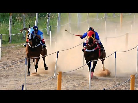 2 BELOS DESAFIOS EM RIBEIRO GONÇALVES DO PIAUÍ - Haras Malícia 