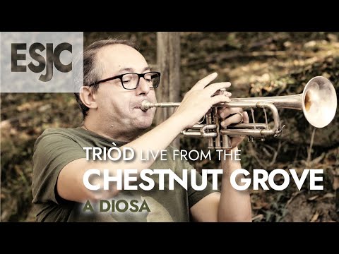 A DIOSA (No Potho Reposare) - Triòd "Live from the Chestnut Grove" #3 (ESJC series)
