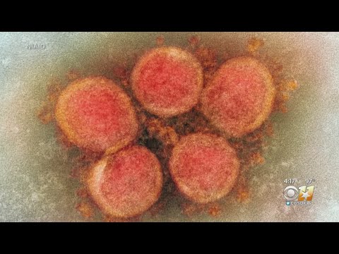 Ones For Wellness: Stopping The Spread, How to Prevent Delta Variant Exposure