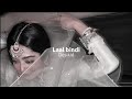 Laal Bindi Sped Up Reverb