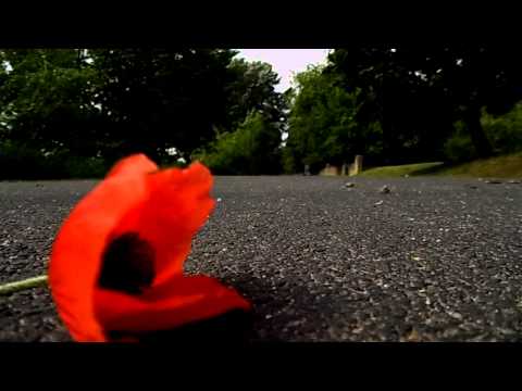 Delmaa - Obiecywałaś