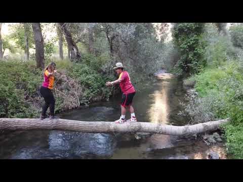 Dirty Dancing log scene