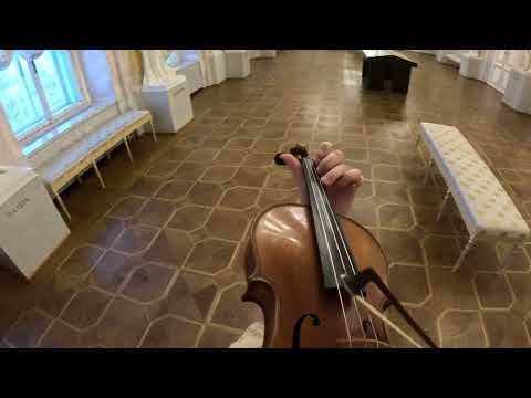 Carol of the bells - Violin Cover