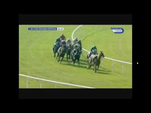 2016 JLT Novices' Chase - Cheltenham Festival