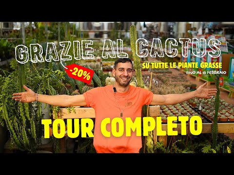 Tour Completo di tutte le Piante Grasse di Sassi Garden!