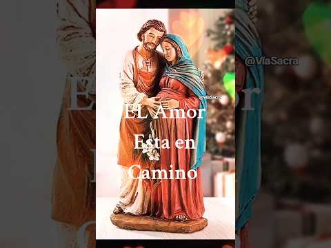 EL AMOR DE LOS AMORES ESTA CERCA. 😍🙏🏼 #pianomusic #Navidad #jesus #cristianos #catolicos #fe #fyp