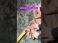 Cara Permak Baju Paling Mudah Sewingtips Penjahitpemula Menjahit Sewing Permak