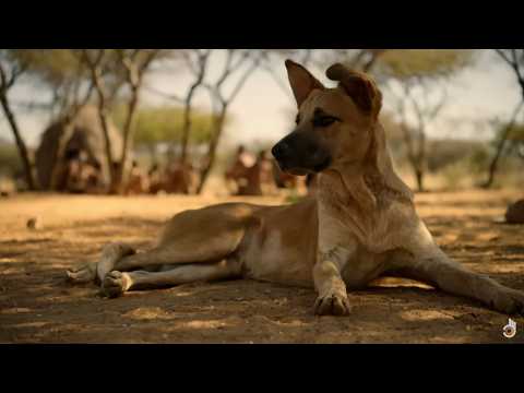 Man's First Friend | The Epic Story Of Humans And Dogs