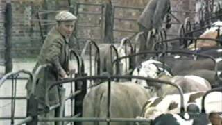 preview picture of video 'Cattle Market in Newark-on-Trent June 1988  part two'