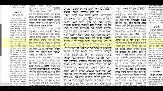נזיר דף סא