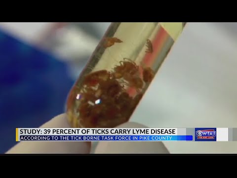 Lyme disease PA study
