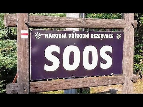 MD GoWest, Day 2: Mašinky a bubliny v Soosu, 24.8.2019