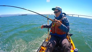 FISHING for BURIED TREASURE in the San Francisco Bay