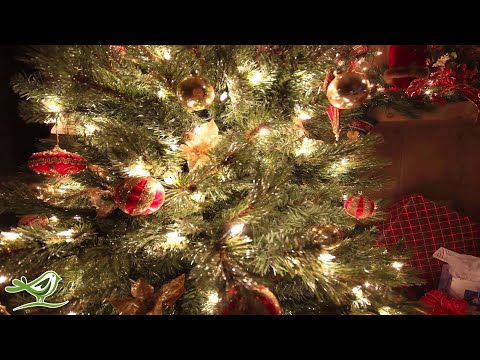 download lagu mp3 mp4 O Holy Night Melody, download mp3 O Holy Night Melody free download, download mp3 O Holy Night Melody