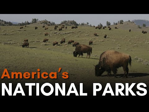 America's 62 National Parks, Explained