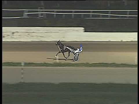 Trotto 16/02/2018 - prova di qualifica